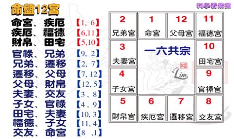 一六共宗|紫微斗数必学知识：【一六共宗】的重要作用